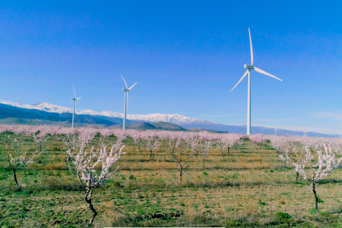 Iberdrola aporta a Andalucía cerca de 1.800 millones de euros en dos años