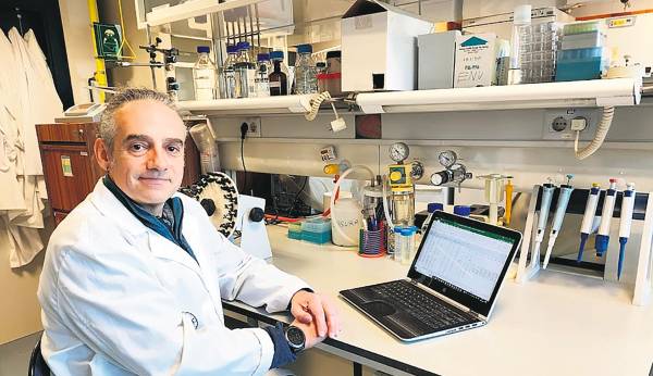 Nuevo estudio para detectar la consciencia durante el coma