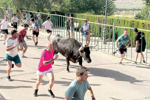 <i>Espectáculo de toros en Génave. / Juanfran Paredes.</i>