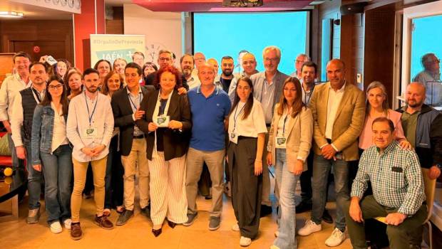 <i>Candidatos y responsables de Jaén Merece Más en la noche electoral. / JM+.</i>