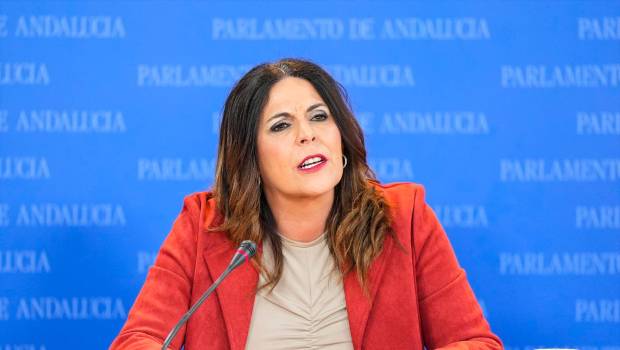 <i>Ángeles Férriz, durante la ronda de ruedas de prensa de portavoces de los grupos parlamentarios en el Parlamento de Andalucía, a 4 de marzo de 2026 en Sevilla. / Joaquín Corchero / Europa Press.</i>