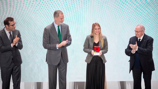 <i>El Rey Felipe VI entrega el galardón a los premiados durante la octava edición. / Europa Press.</i>
