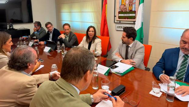 <i>La consejera Rocío Díaz se reúne con los representantes del sector de la vivienda. / Junta de Andalucía.</i>