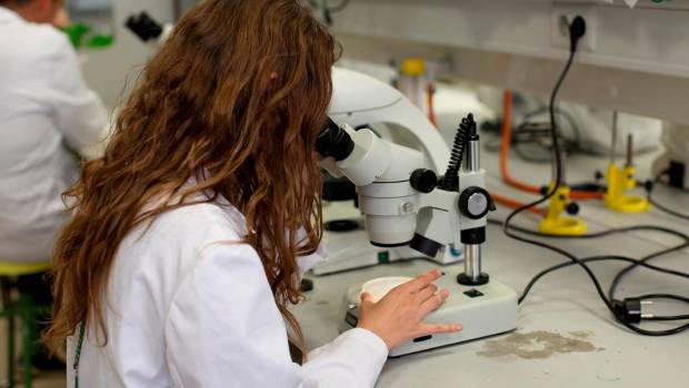 <i>Una investigadora de la Universidad de Jaén. / Universidad de Jaén. </i>