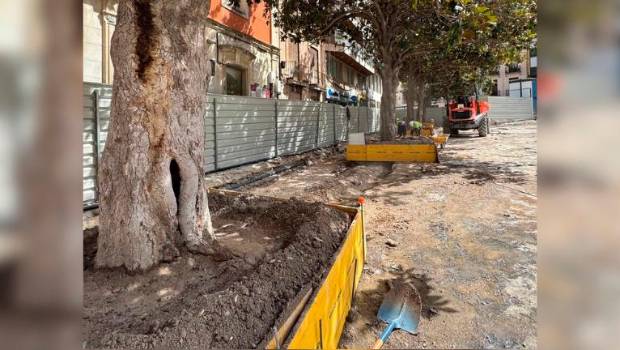 <i>Protección arbolado plaza la Constitución. / Ayuntamiento de Jaén.</i>