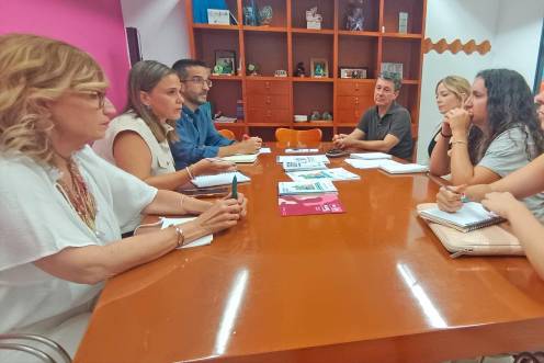 <i>Reunión de seguimiento del dispositivo. / Ayuntamiento de Jaén. </i>
