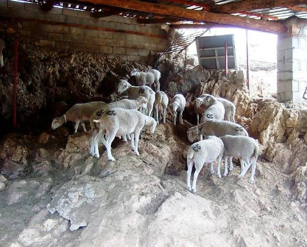 <i>Cobertizo para guardar a los carneros. Se puede observar las riscas del terreno.</i>