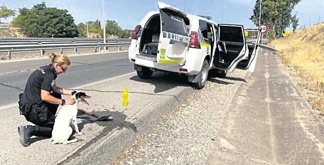 <i>Agente de la Policía Nacional da de beber al cachorro rescatado en la autovía junto a la capital.</i>