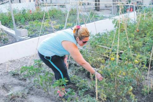 <i>Una vecina del Polígono del Valle cuida uno de los huertos en los que tienen plantadas hortalizas y verduras. / Archivo histórico Diario JAÉN. </i>