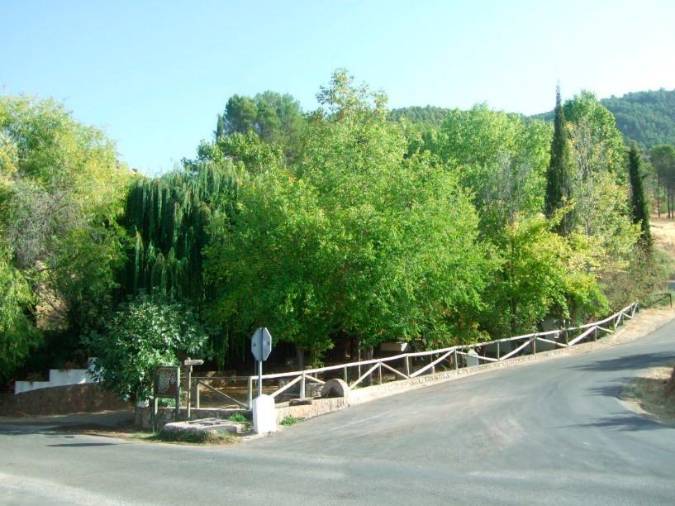 <i>Paraje actual frente a la plaza de toros donde se encuentra el manantial o fuente que en su época suministraba agua al huerto y al convento.</i>