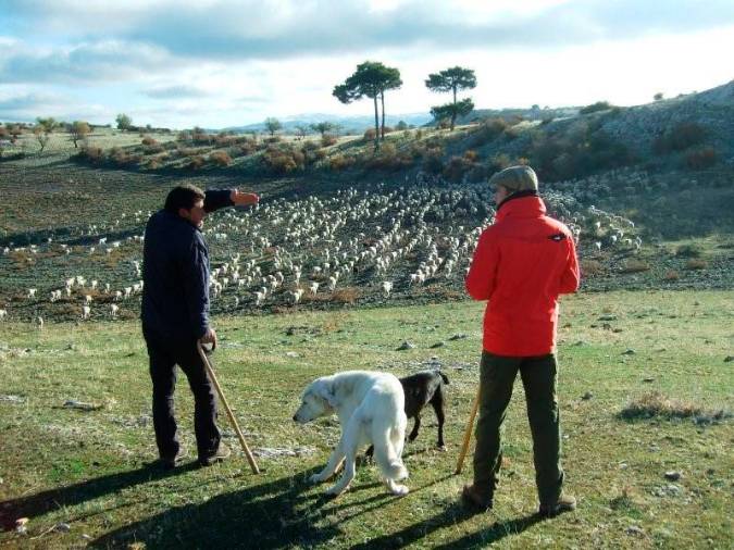 <i>Palomo y Moro, junto a Daniel padre e hijo, en Loma de La Paja en Los Campos de Hernán Pelea.</i>