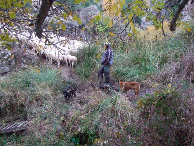 <i>Moro, Lince y Laixa junto a Daniel, en la proximidad de la aldea de La Ballestera.</i>