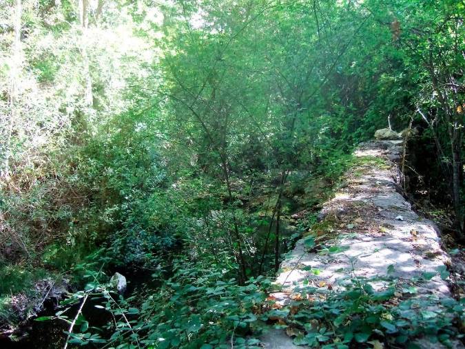 <i>Ribera del río Segura.</i>