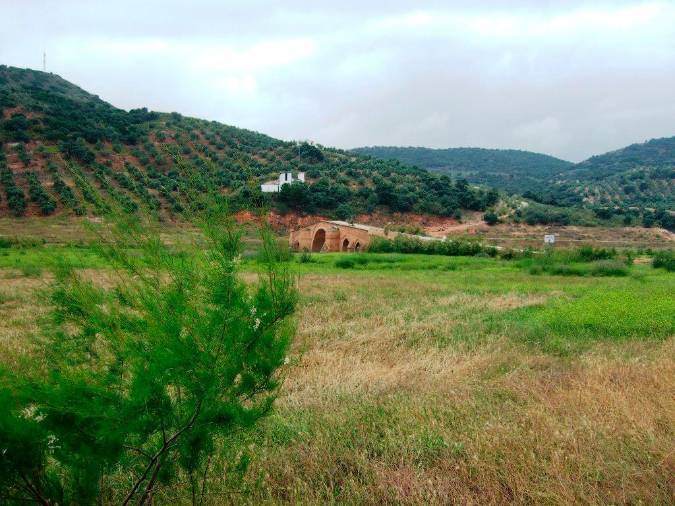 <i>Vista del puente Ariza, al fondo el camino de la Cañada Real. </i>