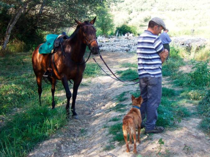 <i>José Carlos con su inseparable “Tina”, observando al hato y pensando la maniobra con el resto de sus hermanos para vadear el río. </i>