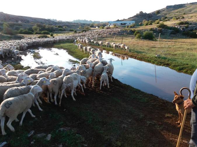 <i>Cerca de la tiná en los Campos.</i>