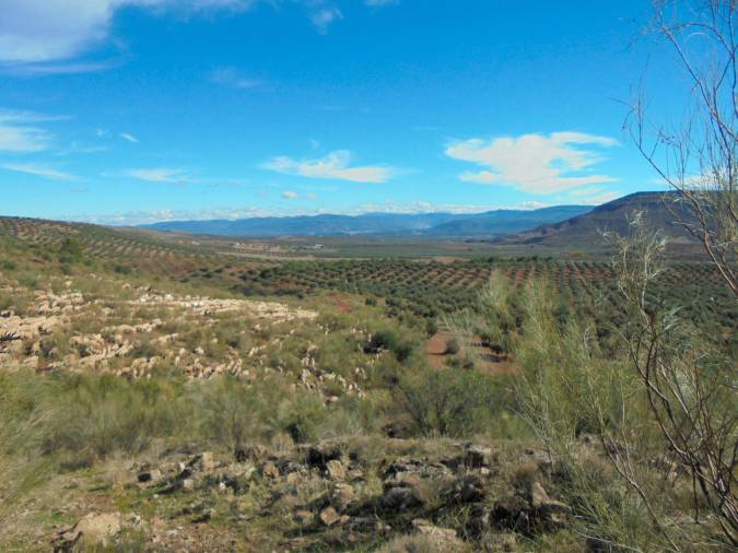 <i>Los Retamales, al fondo La Natao en las cumbres de Beas.</i>