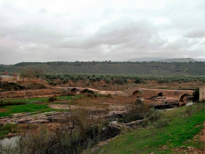 <i>Vista general del Puente Mocho aguas arriba.</i>