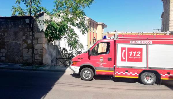 Fallece un jardinero tras caerle un árbol encima