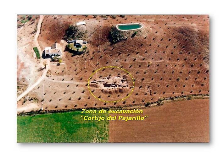 <i>Vista aérea excavaciones en el yacimiento arqueológico. </i>