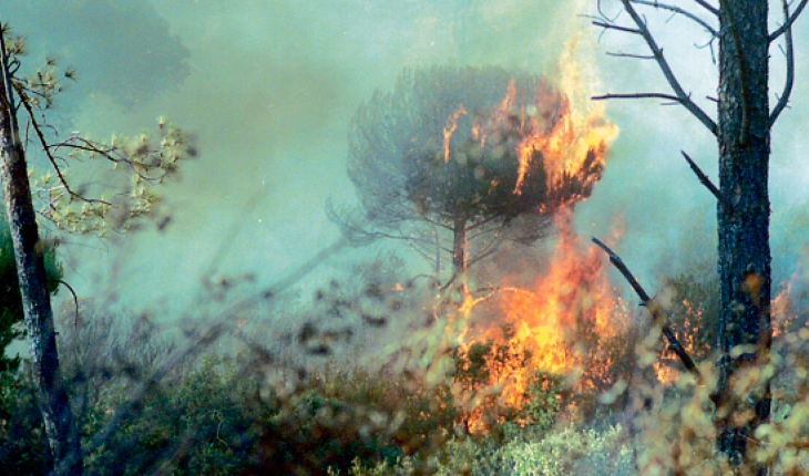 <i>El fuego, que al cierre de la edición de este día aún no había sido extinguido. / Archivo Histórico de Diario JAÉN.</i>