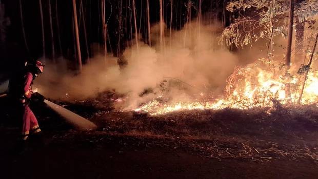 <i>Un profesional de la UME combatiendo las llamas provocadas por el incendio en Vouzela (Portugal). / UME.</i>