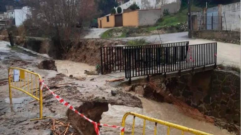 Pinos caídos en el parque de los Artesanos de Los Villares