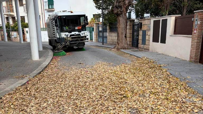El PP de la capital demanda la retirada de hojas de la vía pública para evitar riesgos