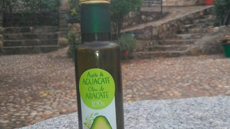 Otros aceites vegetales. ¿Competencia del oliva?