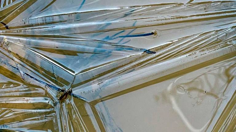 Las heladas cubren de blanco los alrededores de Segura de la Sierra