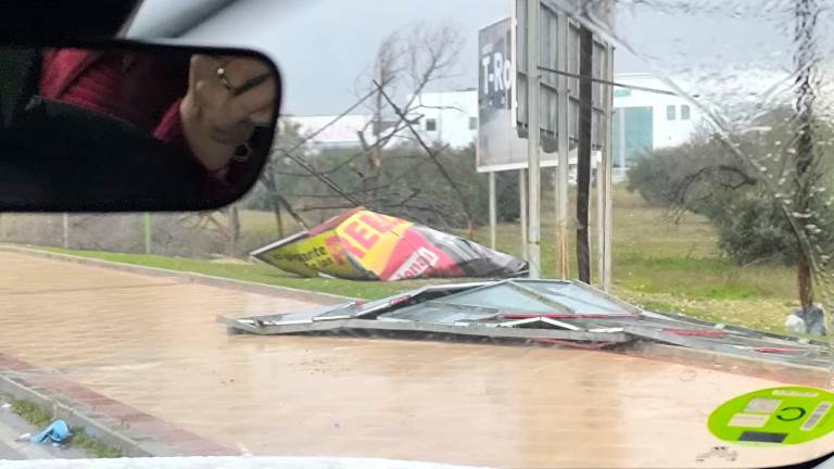 El viento y las lluvias pasan factura en todos los barrios de Jaén