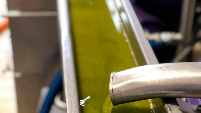 Inicio temprano de campaña