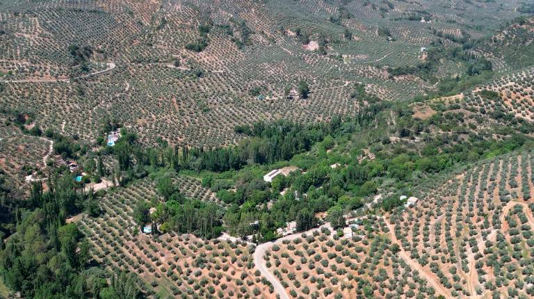 <i>Iznatoraf y su Cañada de la Madera. </i>