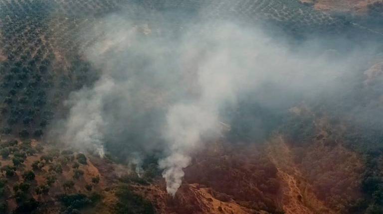 <i>Paraje de Sabiote donde se ha producido el incendio. / Plan Infoca. </i>