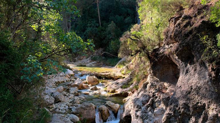 Recuperación del río Borosa