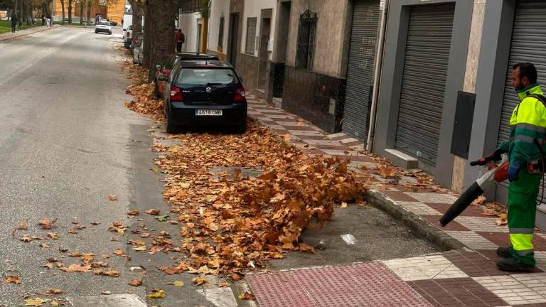 El PP de la capital demanda la retirada de hojas de la vía pública para evitar riesgos
