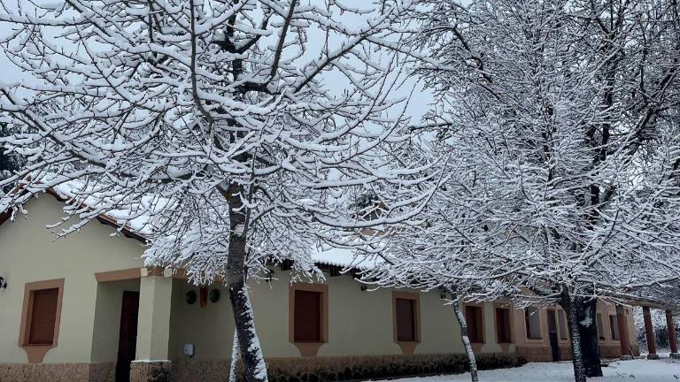 Estampa blanca por Navidad en los Campos de Hernán Pelea