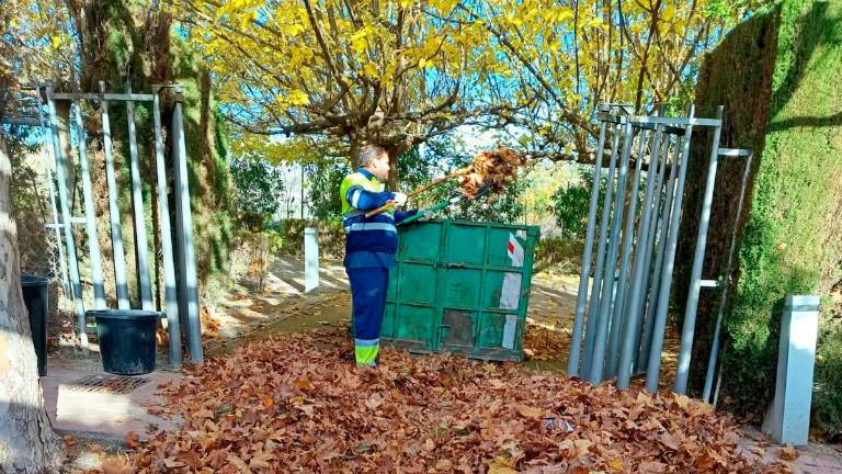 El PP de la capital demanda la retirada de hojas de la vía pública para evitar riesgos