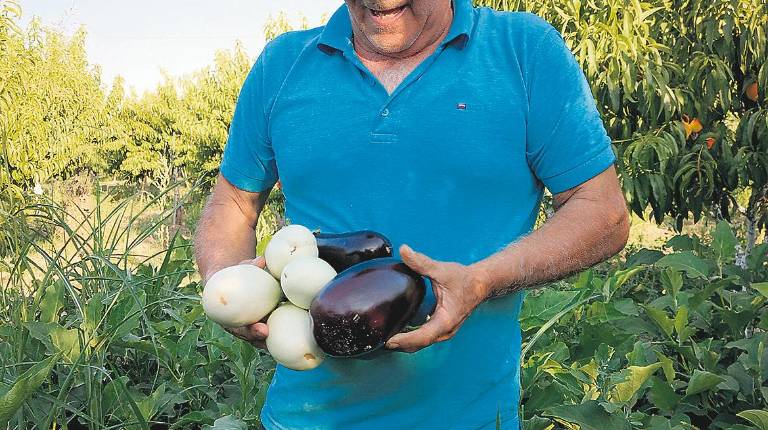 Paco, el hortelano cantor
