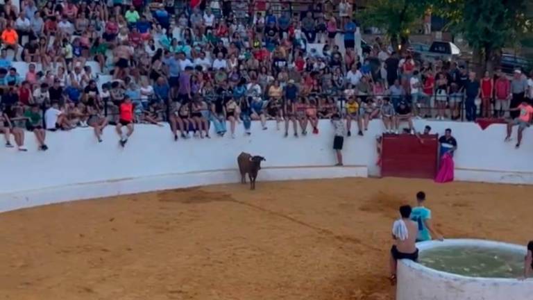 Benatae se prepara para su segundo encierro de vaquillas
