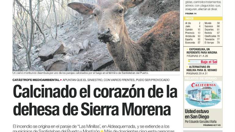 Mano que destruye y la Naturaleza que vuelve a embaucar