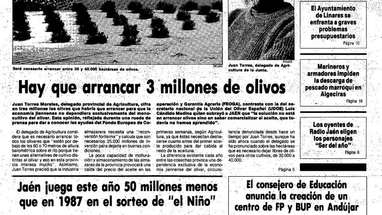 No se arrancaron olivos, vamos al infinito y más allá