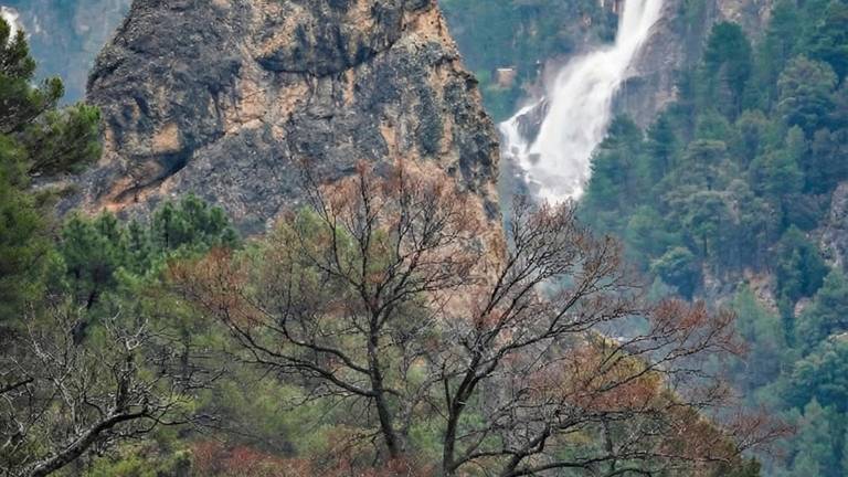 Y ahora nos llega “Leonardo”