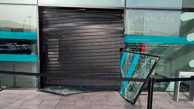 Cuatro ladrones asaltan el Jaén Plaza y huyen