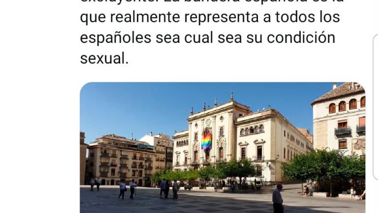 Vox, en contra de la bandera del arco iris