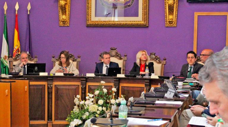 <i>Imagen del pleno. / Ayuntamiento de Jaén.</i>