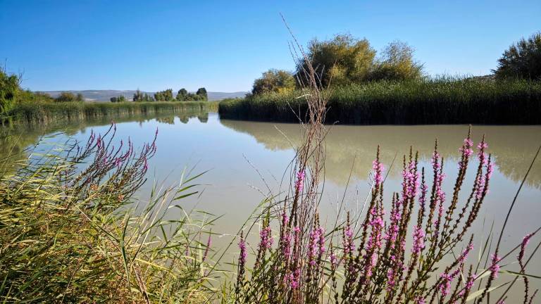 Lugares singulares, únicos, maravillosos y fresquitos: Doña Aldonza