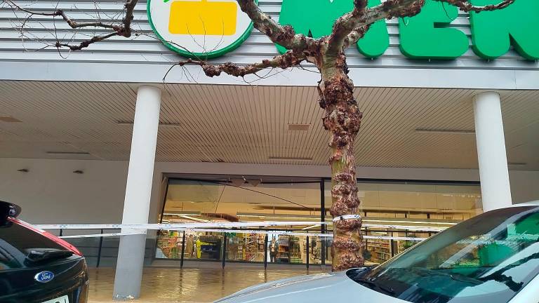 Incidencias en el barrio de Las Fuentezuelas