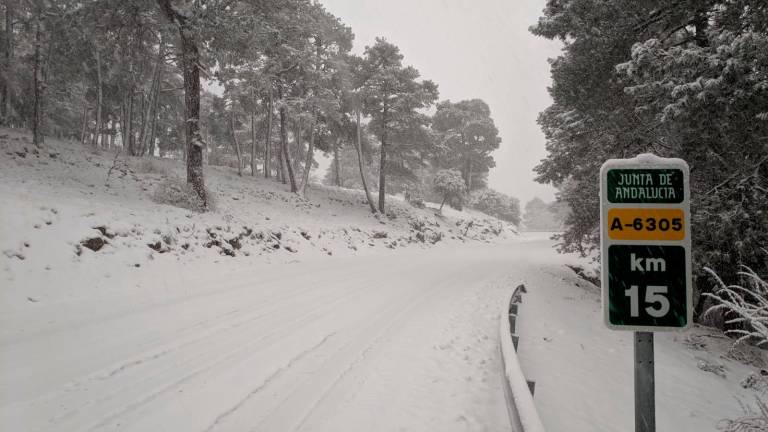 Copiosa nevada en la Cumbre de Pontones