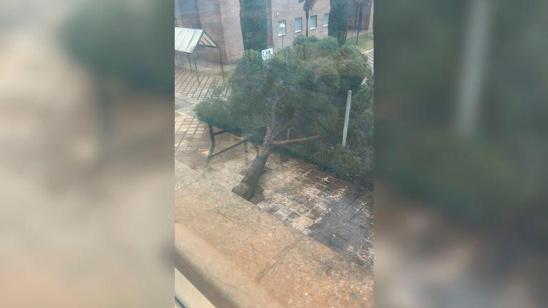 La Universidad de Jaén suspende toda actividad académica por el temporal